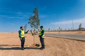 التعدين المستدام والإدارة البيئية